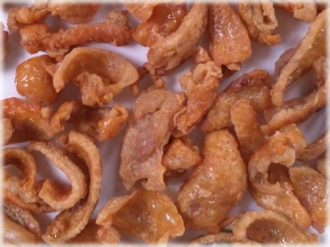 torikawa1.jpg