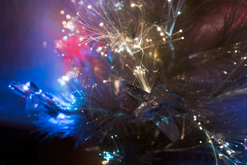 tree1.jpg