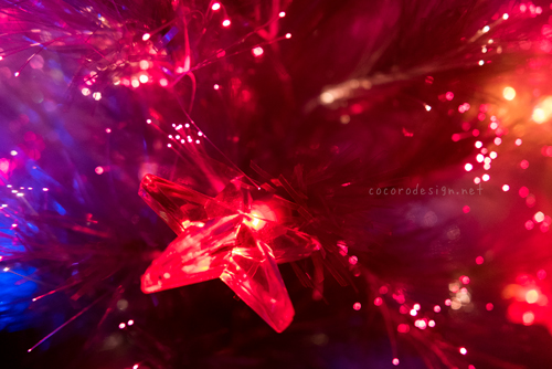 tree2.jpg