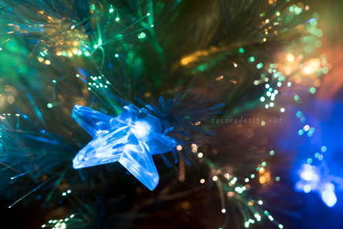 tree3.jpg