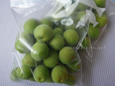 ume2.jpg